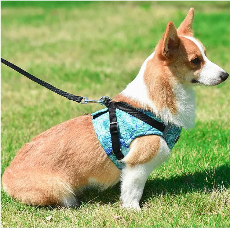 Floral Harness (No-Pull)