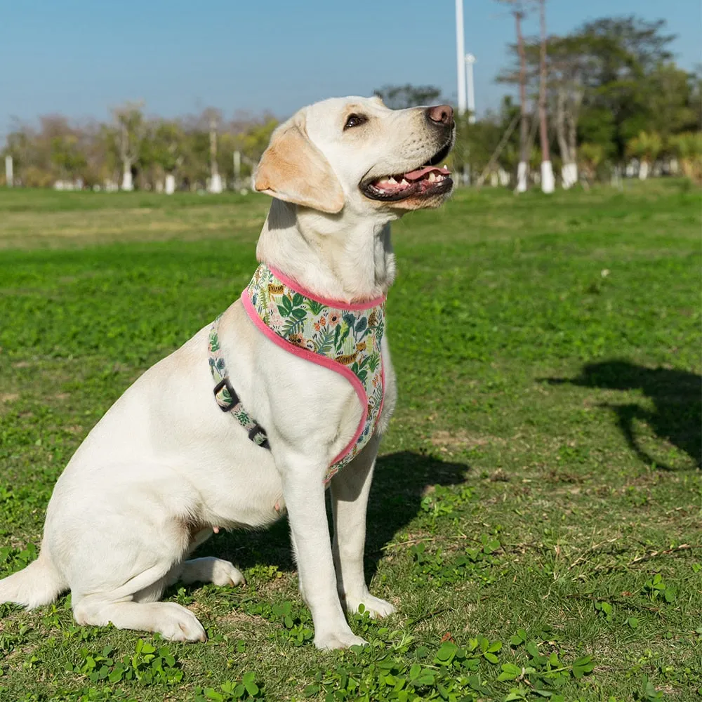 Flower Power Harness (No Pull)